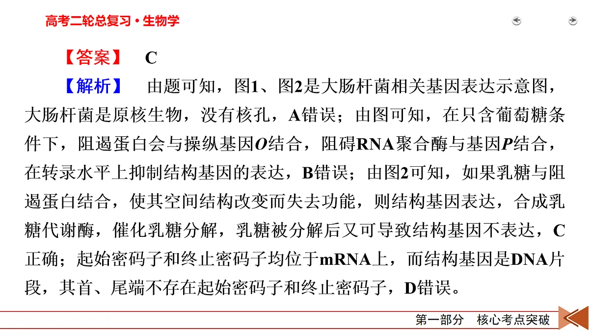 18155049第8页