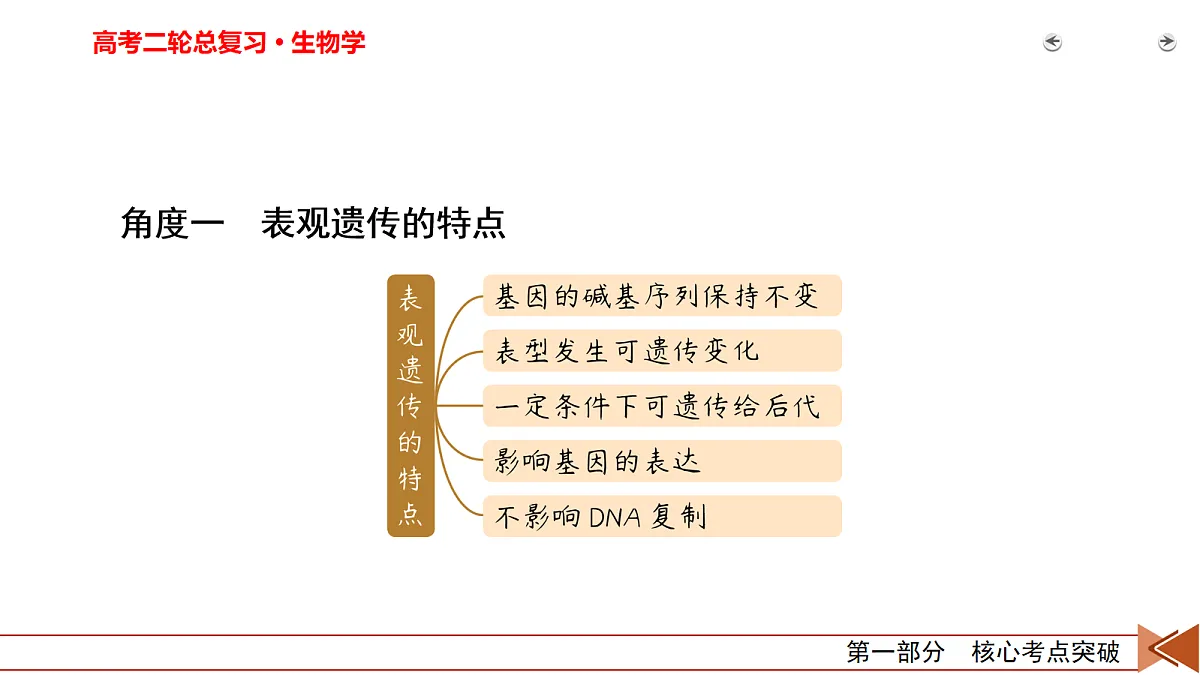 18155050第4页