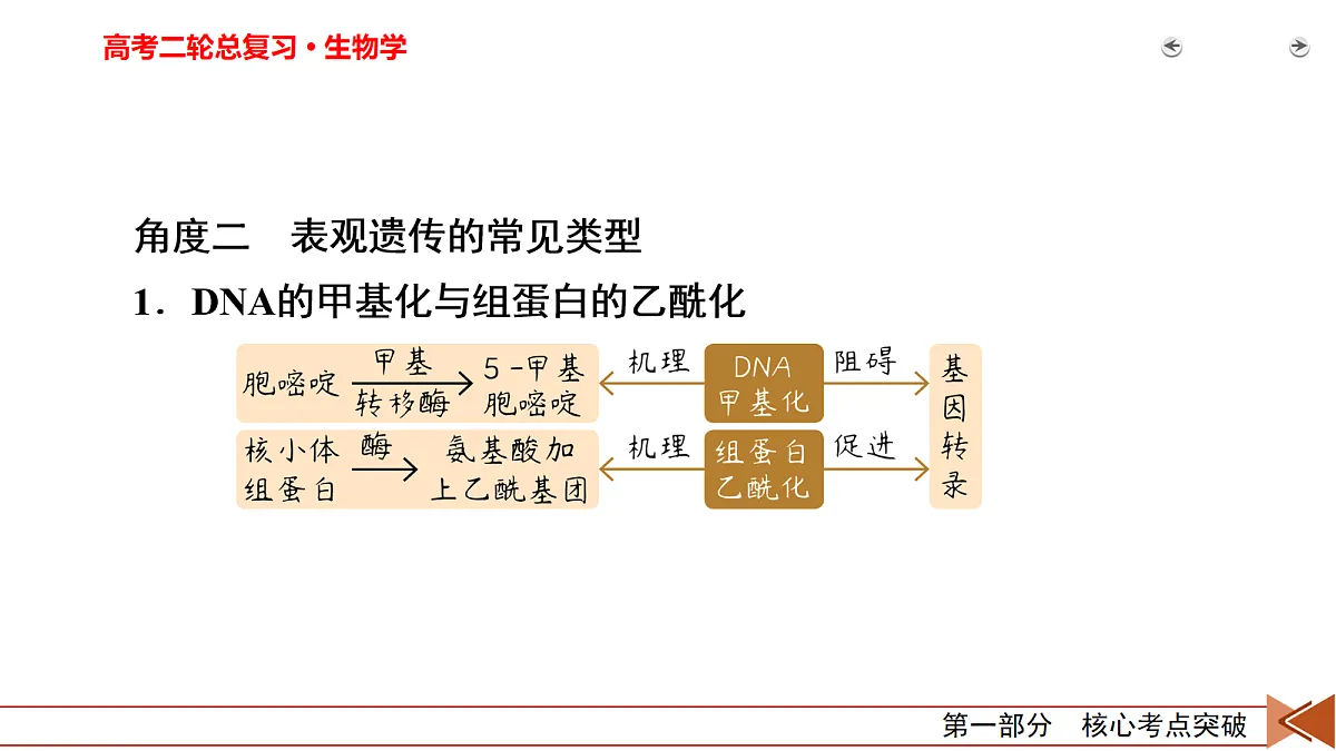 18155050第5页