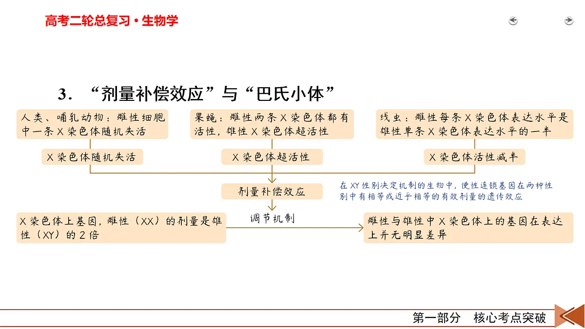 18155050第7页