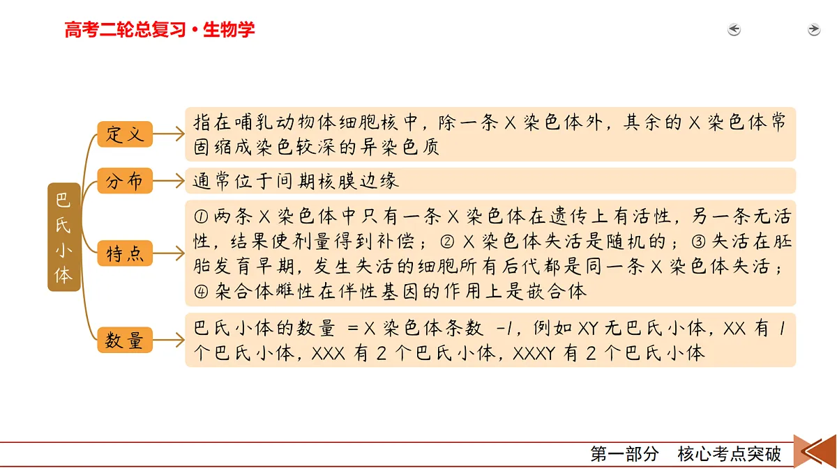 18155050第8页