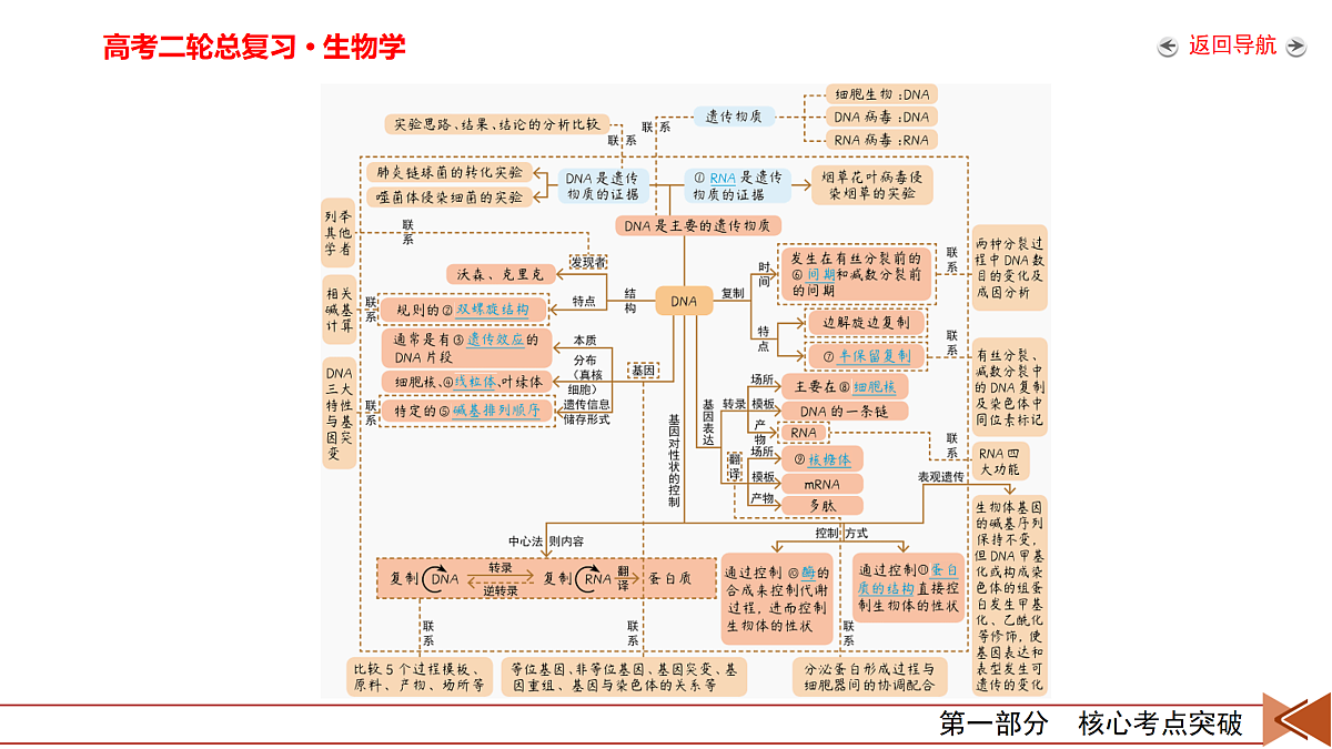 18155051第8页
