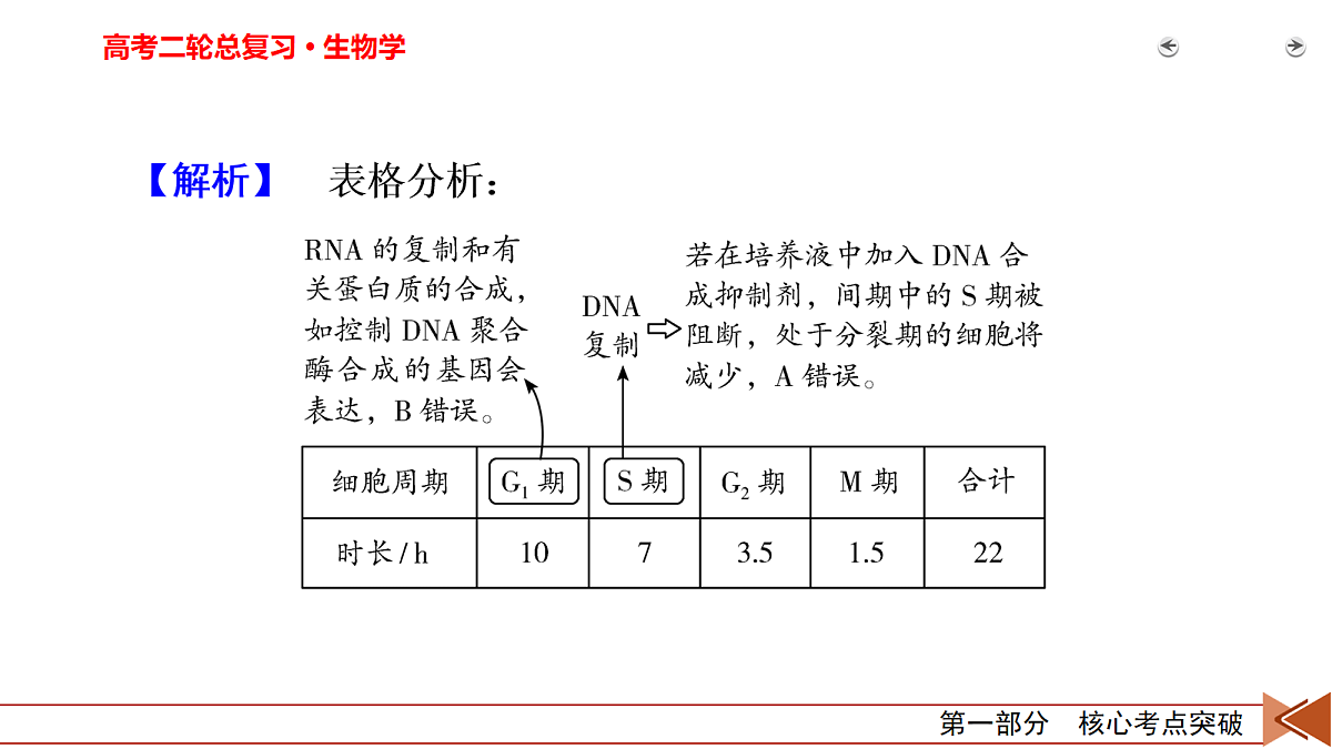 18155052第5页