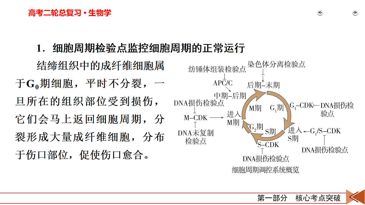18155053第3页