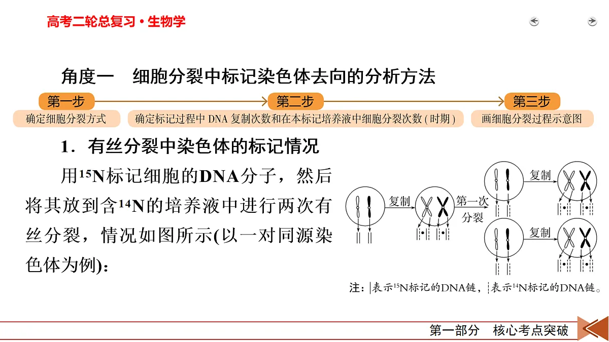18155054第3页