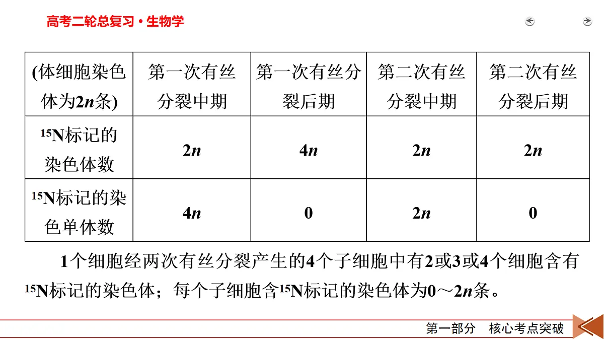 18155054第4页