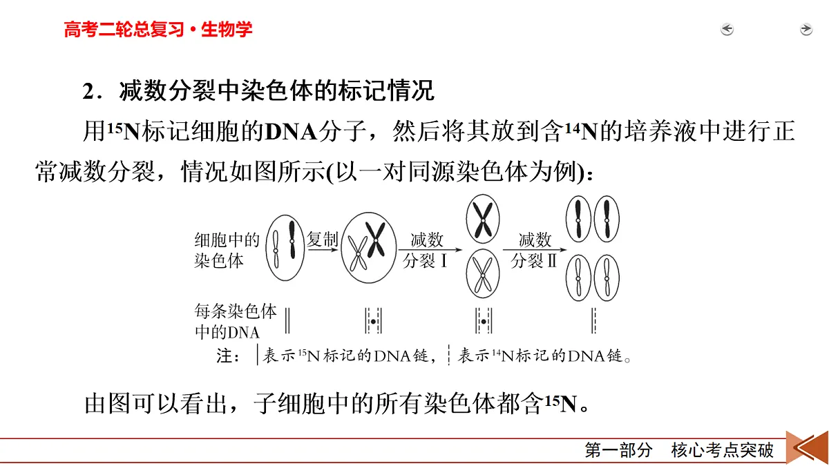 18155054第5页