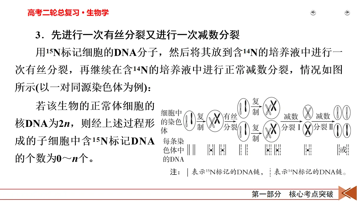 18155054第6页