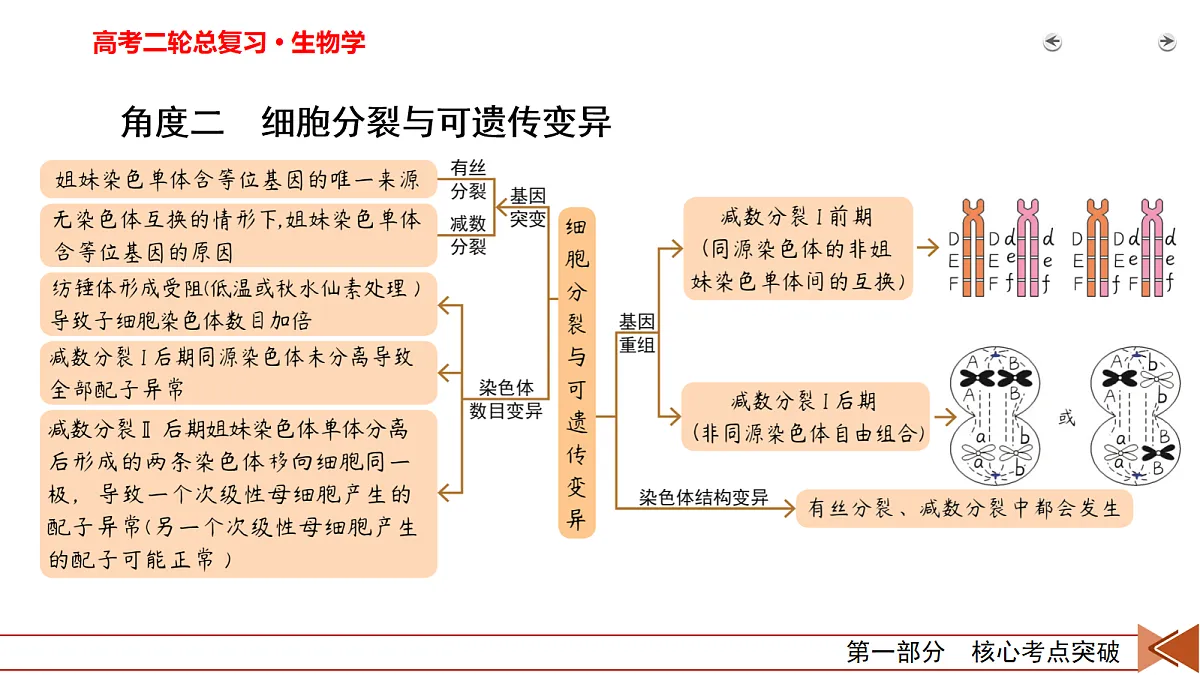 18155054第7页