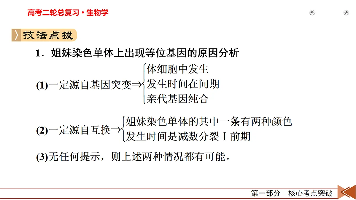 18155054第8页