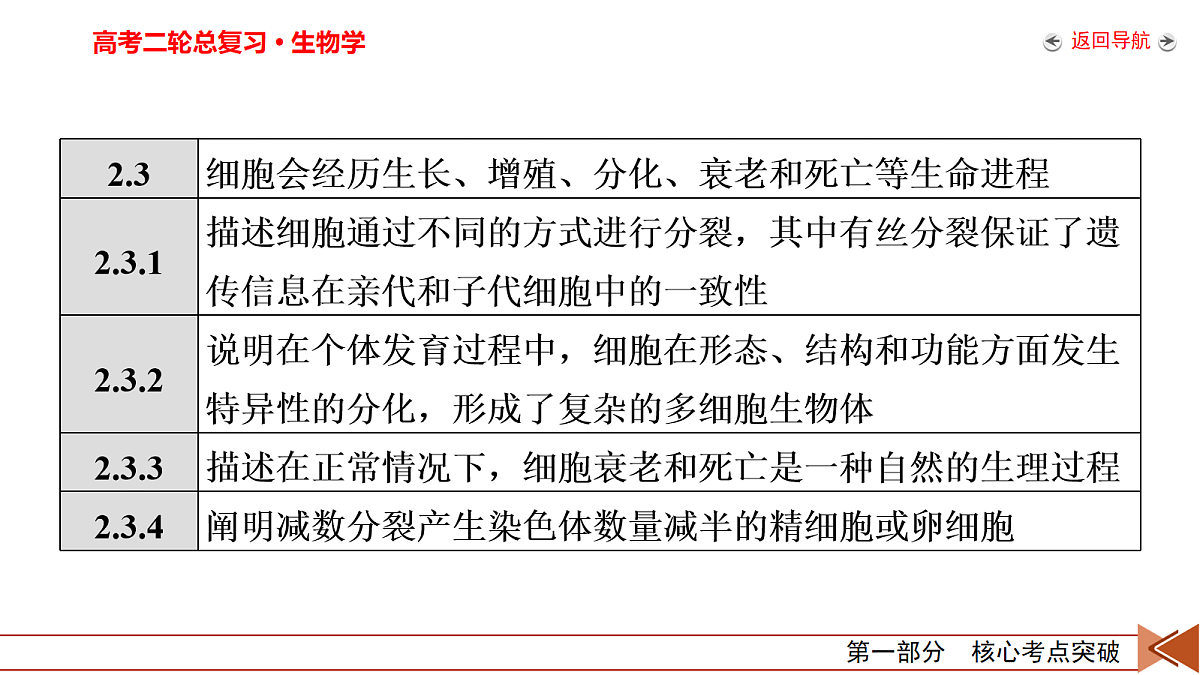18155055第5页