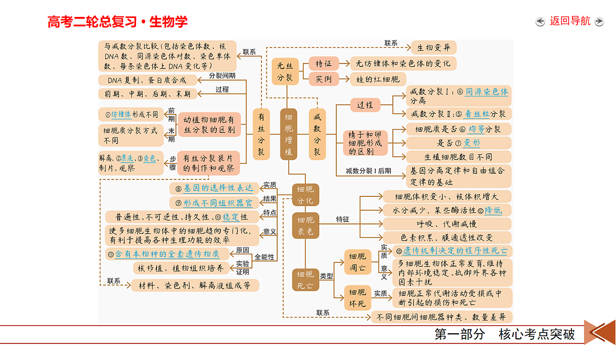 18155055第7页
