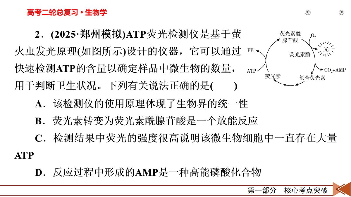 18155062第5页