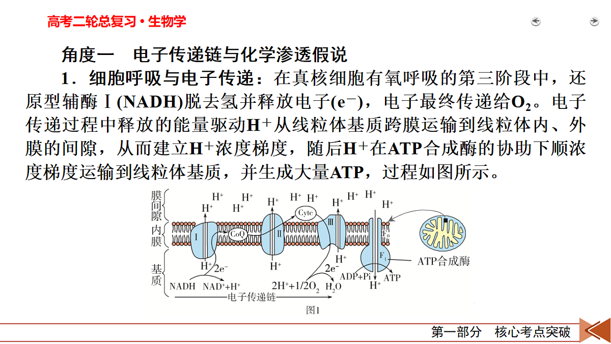 18155063第3页