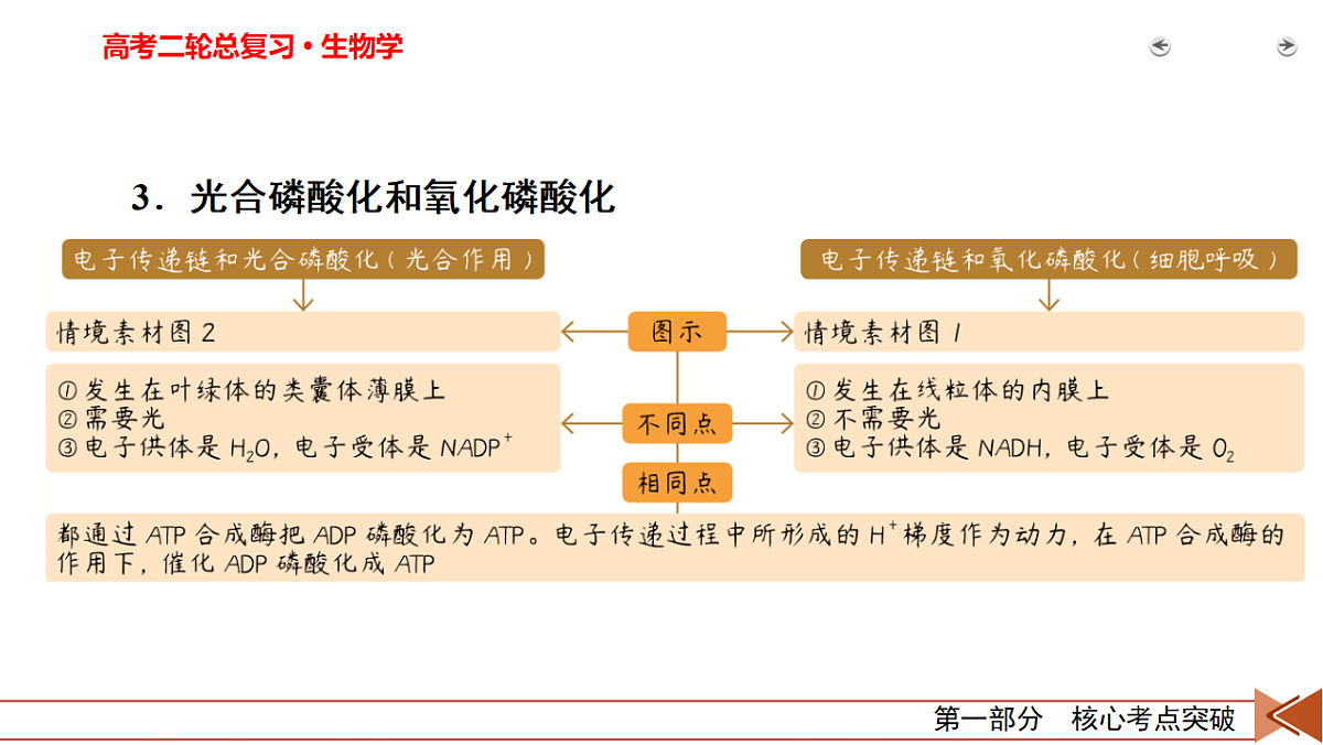 18155063第6页