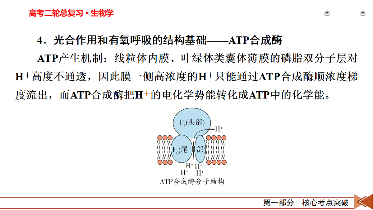 18155063第7页