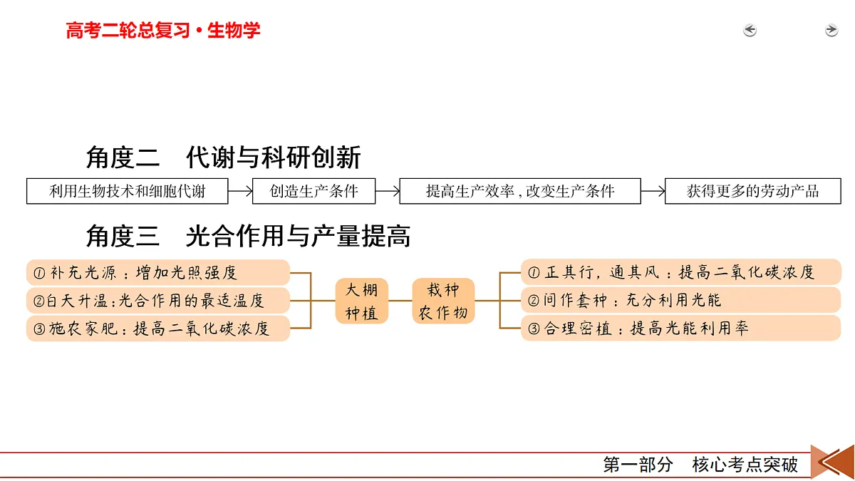 18155064第4页