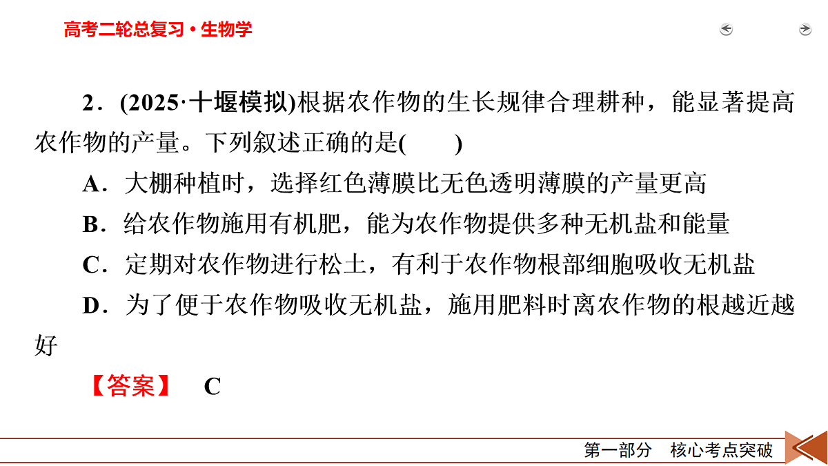 18155064第8页