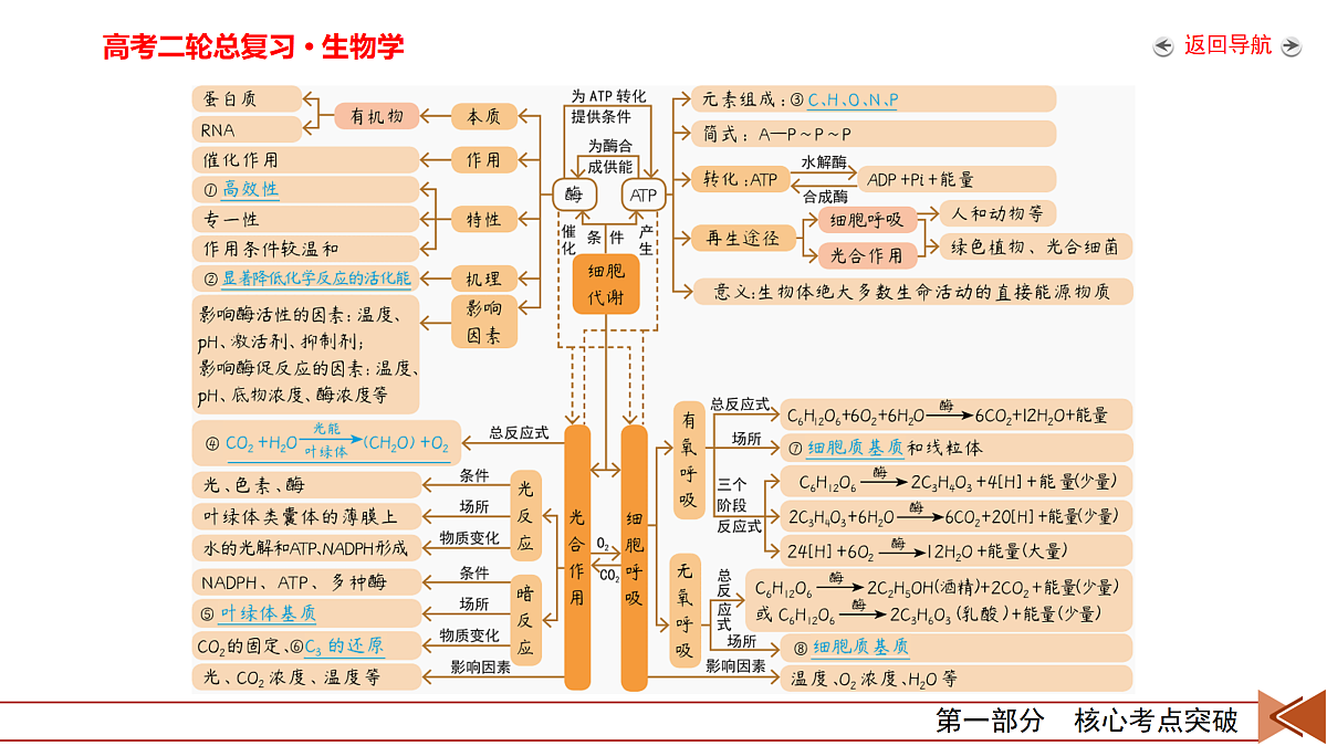 18155065第7页