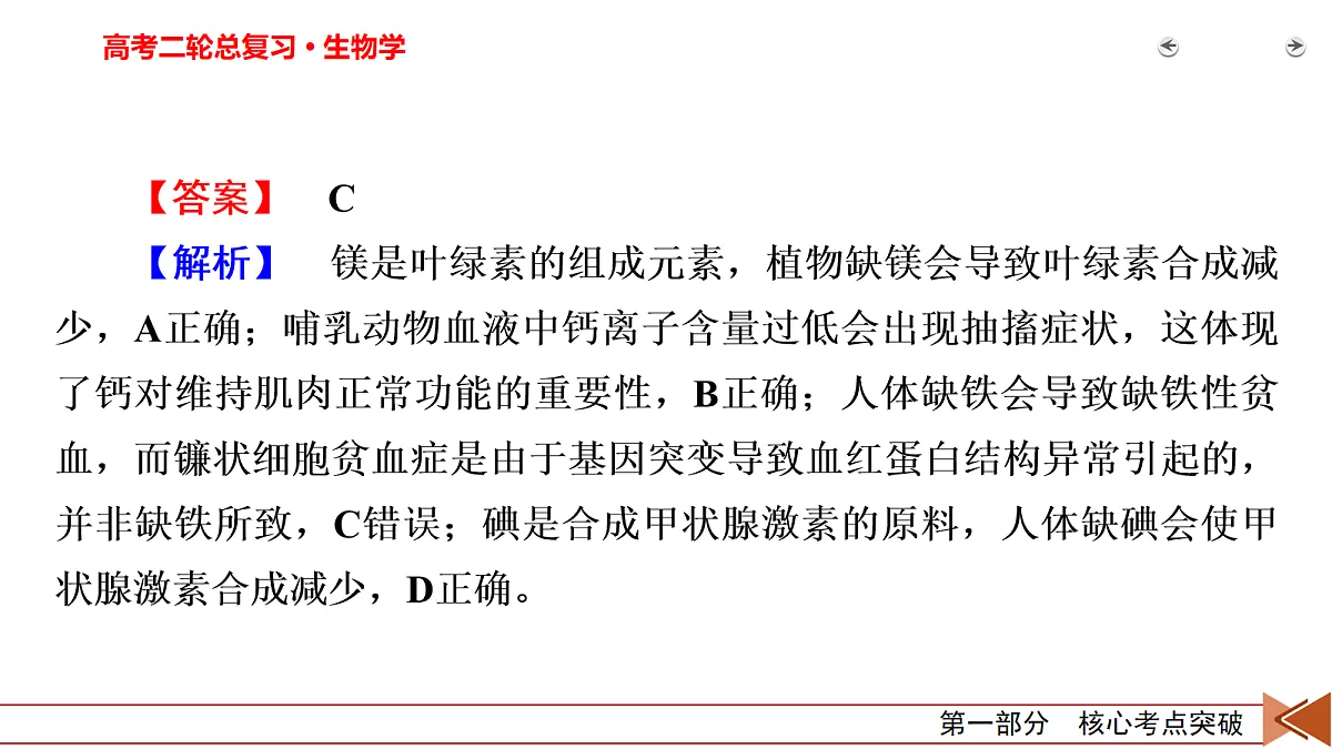 18155066第4页