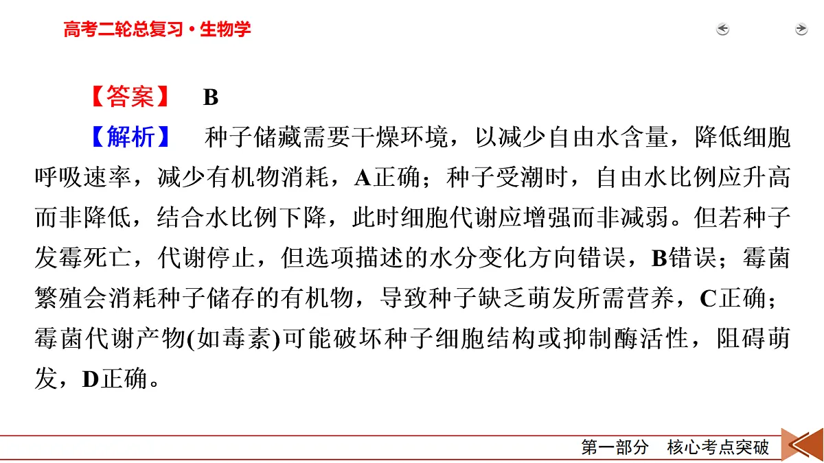 18155066第6页
