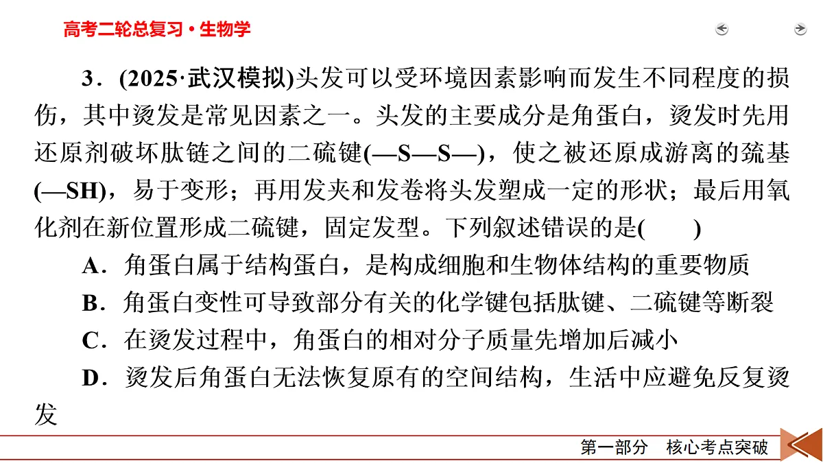 18155066第7页