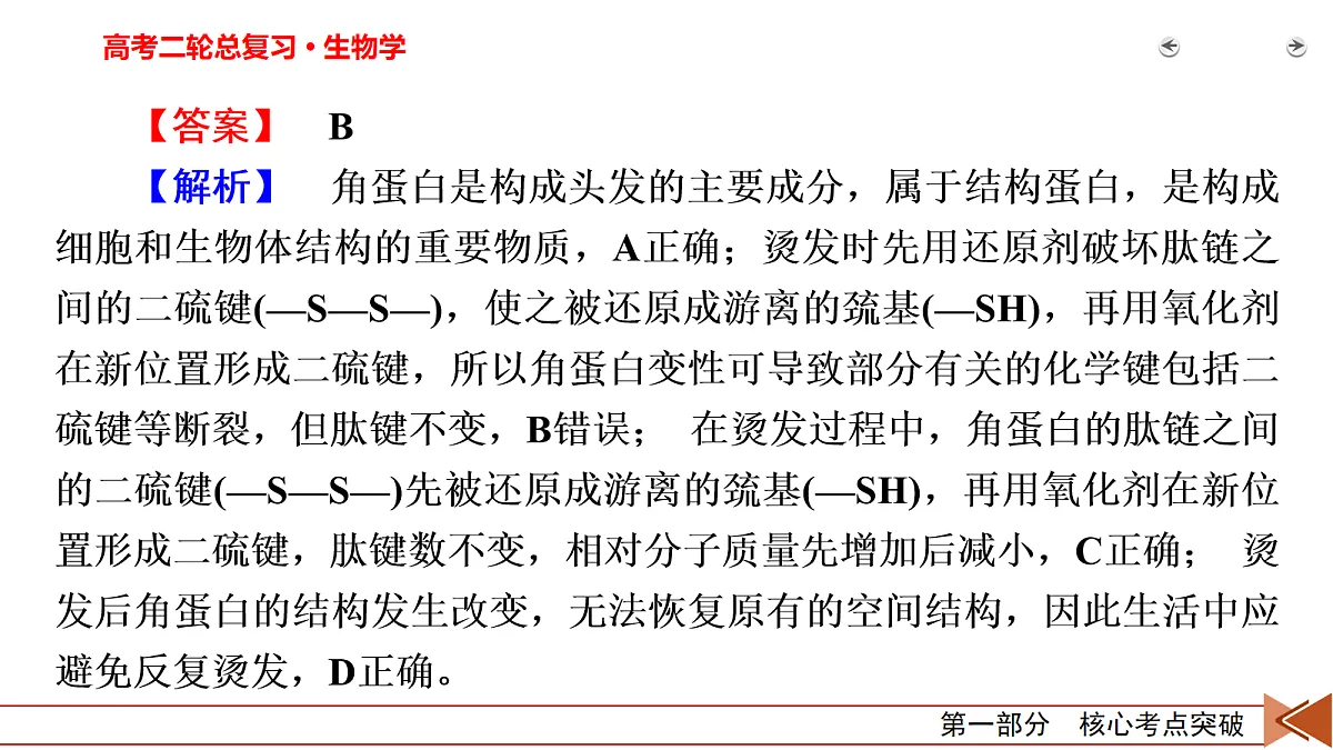 18155066第8页