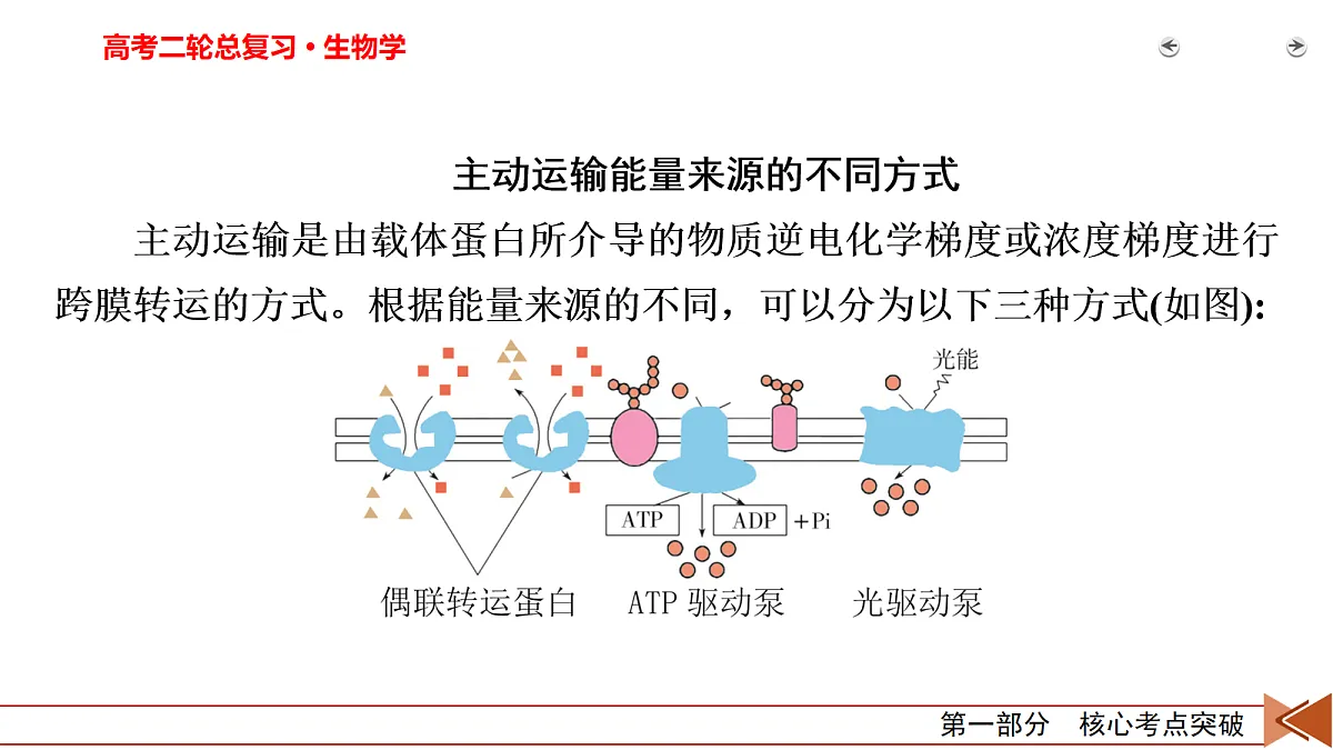 18155067第3页