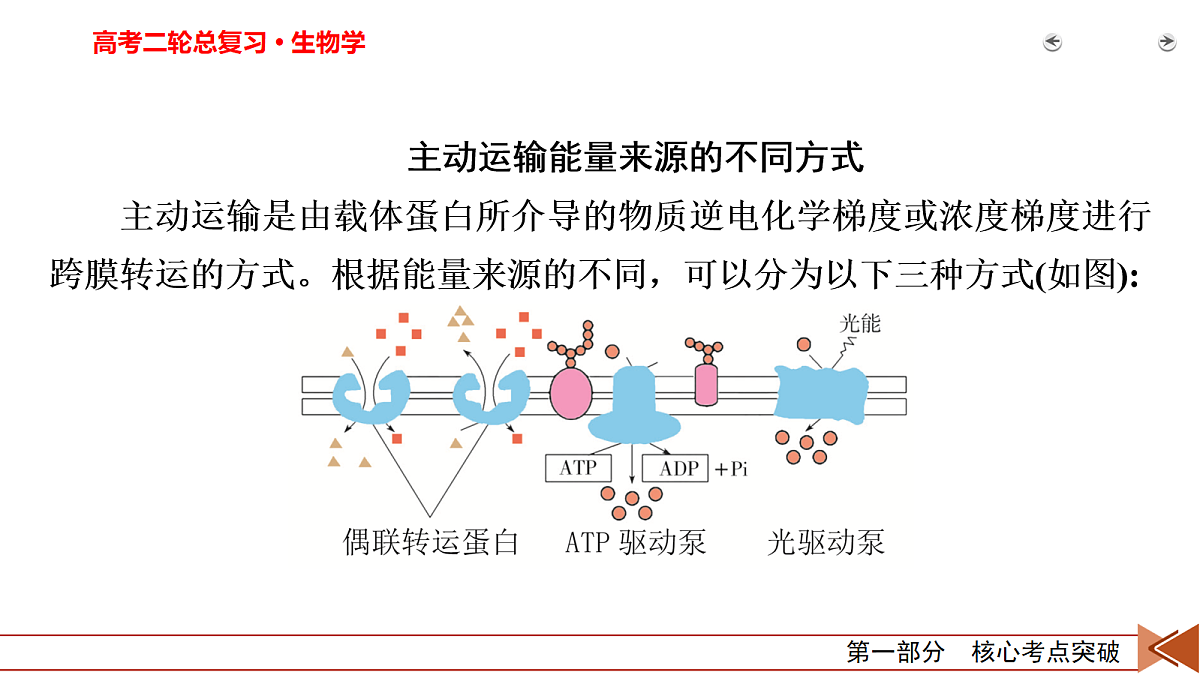 18155067第3页