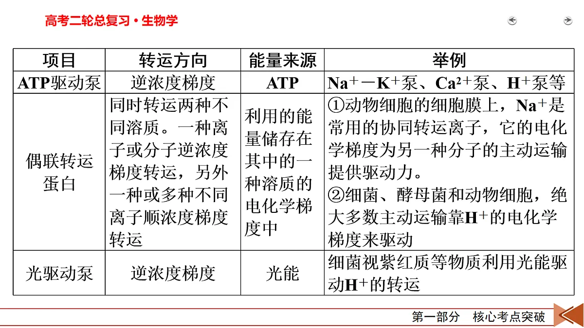 18155067第4页