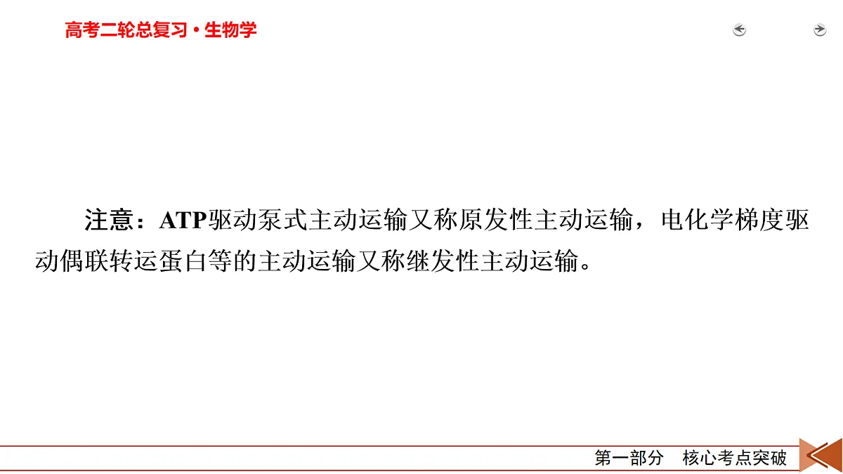 18155067第5页