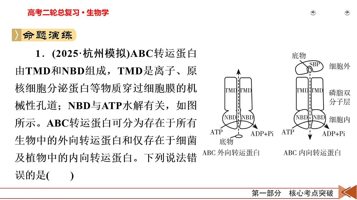 18155067第6页