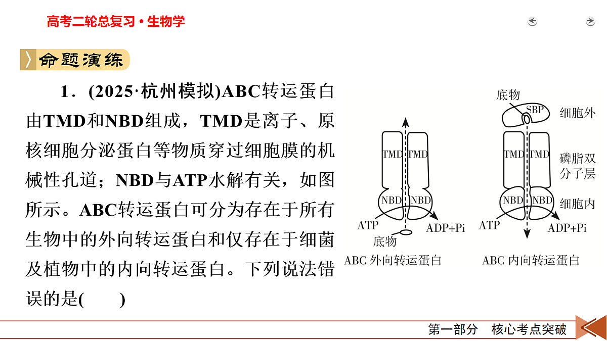 18155067第6页