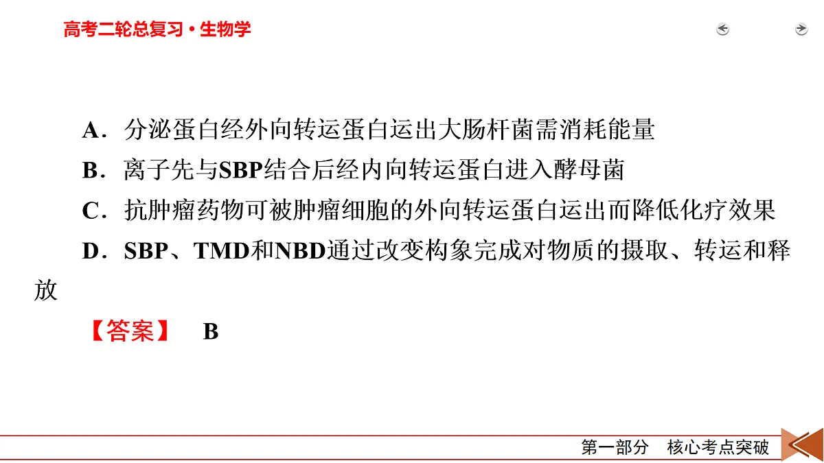 18155067第7页