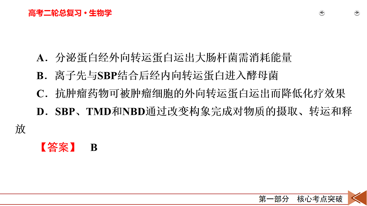 18155067第7页