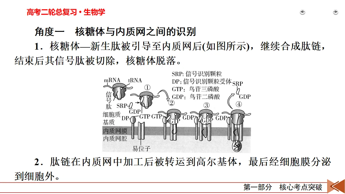 18155068第4页
