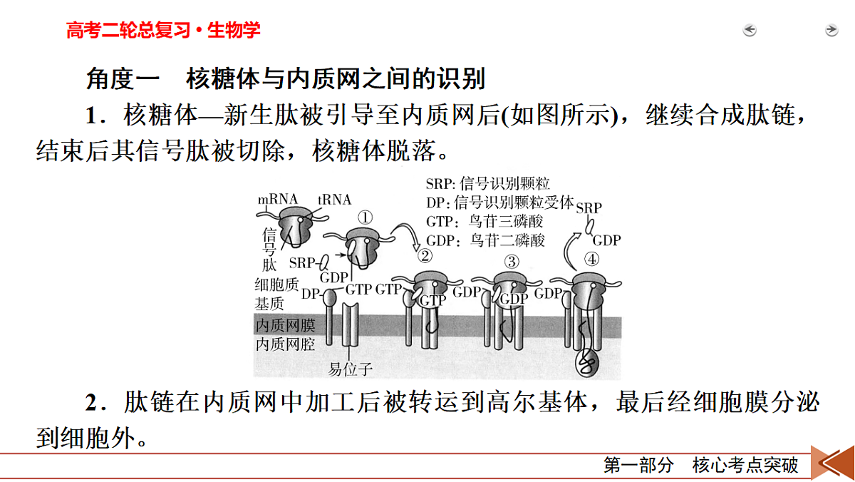 18155068第4页
