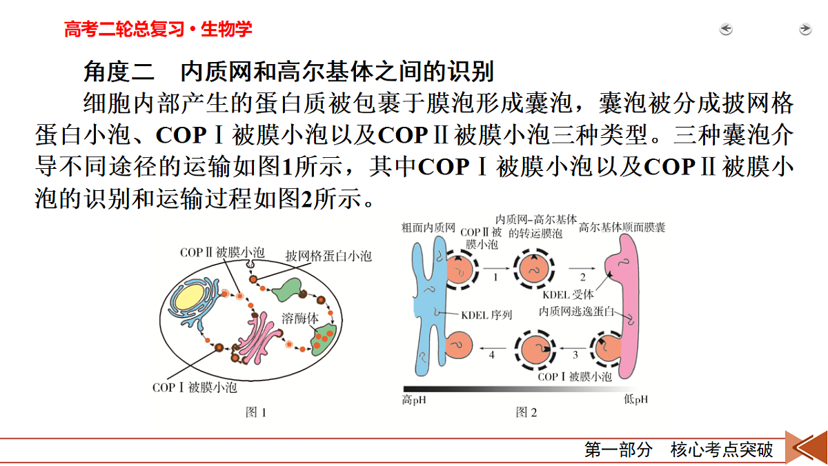 18155068第5页