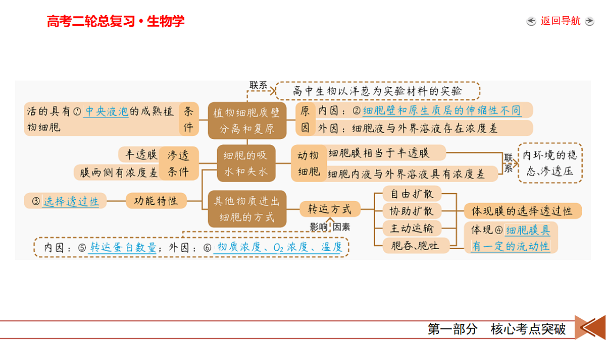 18155069第7页