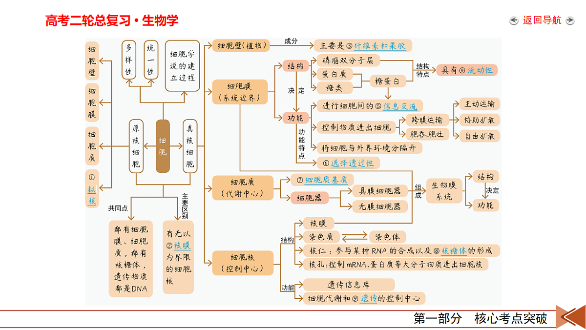 18155070第8页