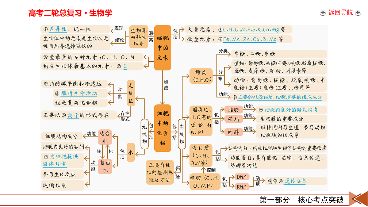 18155071第8页