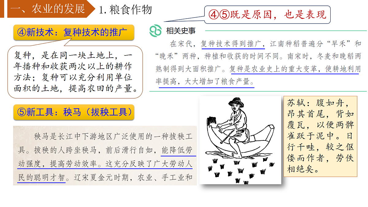 18155128第5页