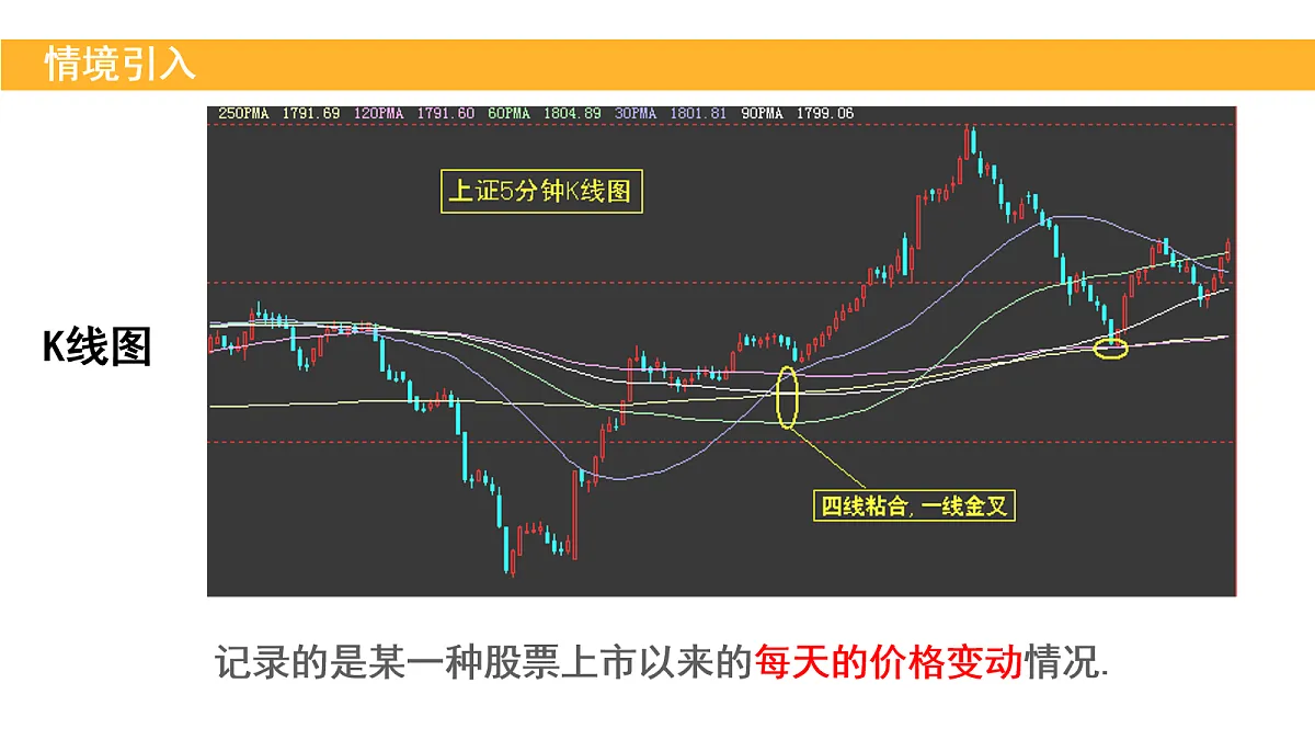 18155162第3页