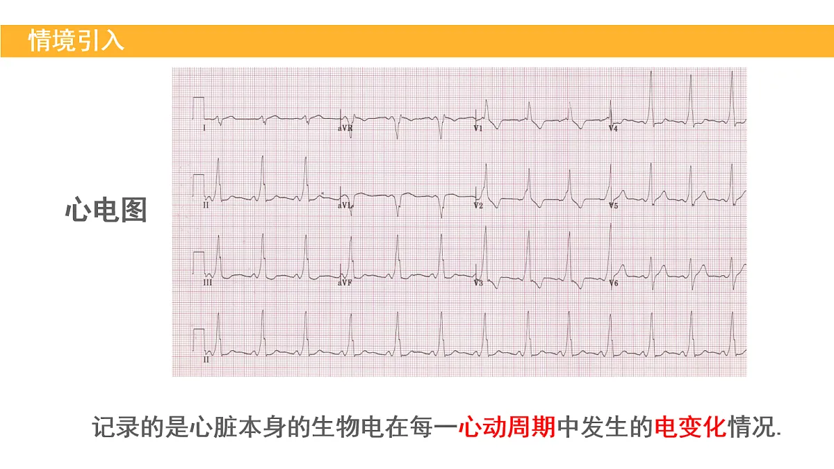 18155162第4页