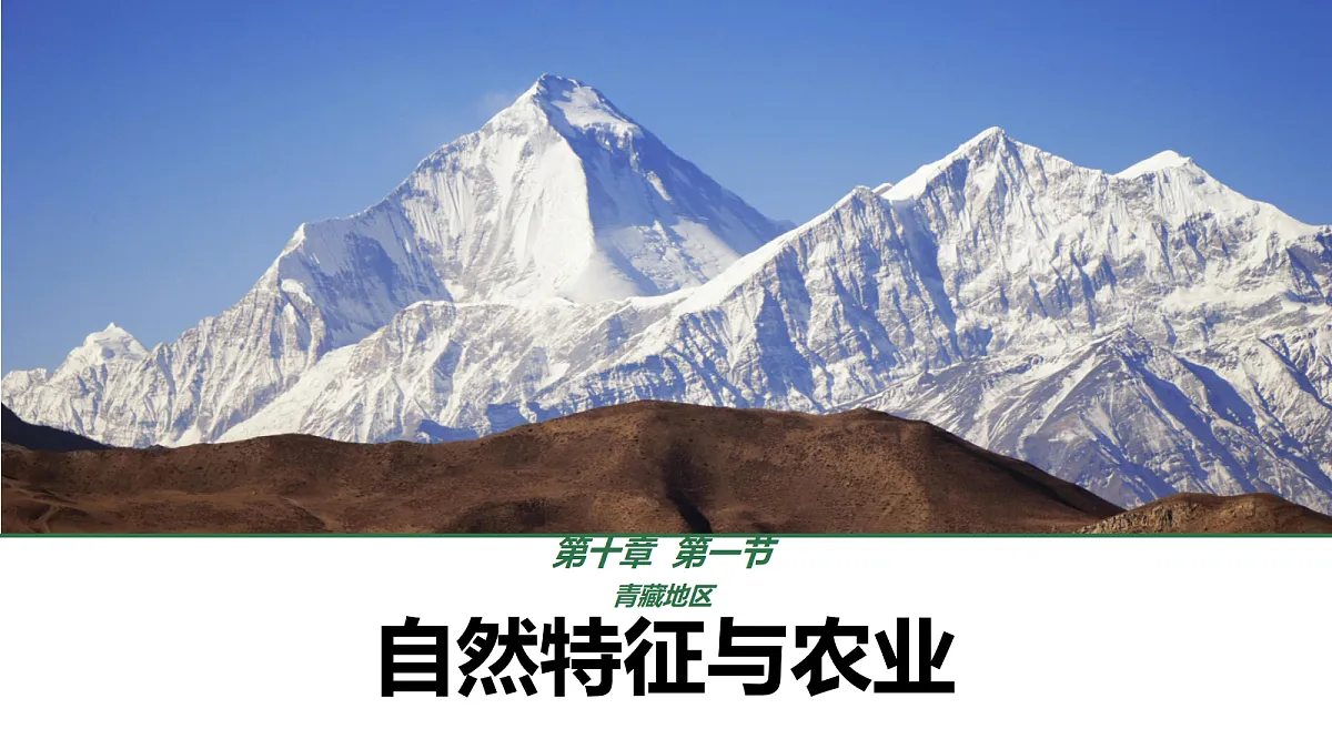 18155184第1页