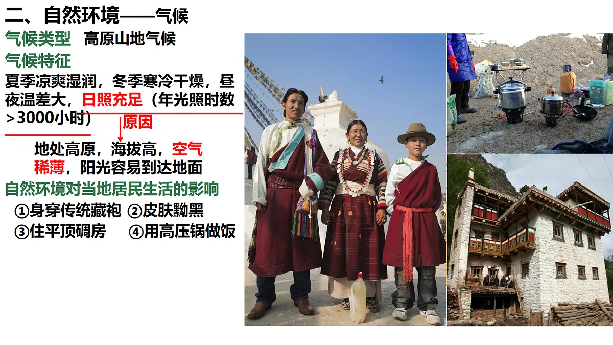 18155184第3页