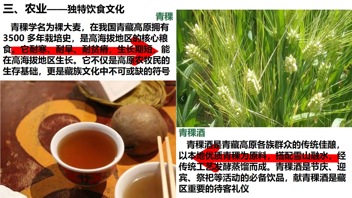 18155184第7页