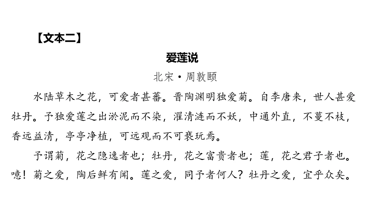 18155353第3页