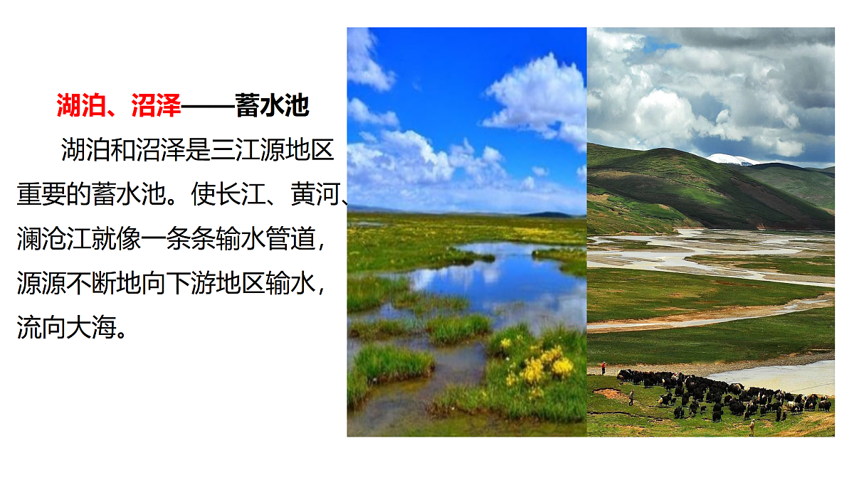 18155396第8页