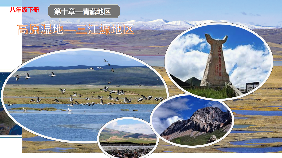 18155397第1页